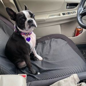 Meet your Posher, Ramona